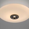 Vitrum Plafonnier Luminaires Paul Neuhaus LED Brun, 2 lumières