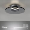 Moon Plafonnier Luminaires Paul Neuhaus LED Gris, 2 lumières