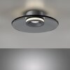 Moon Plafonnier Luminaires Paul Neuhaus LED Gris, 2 lumières