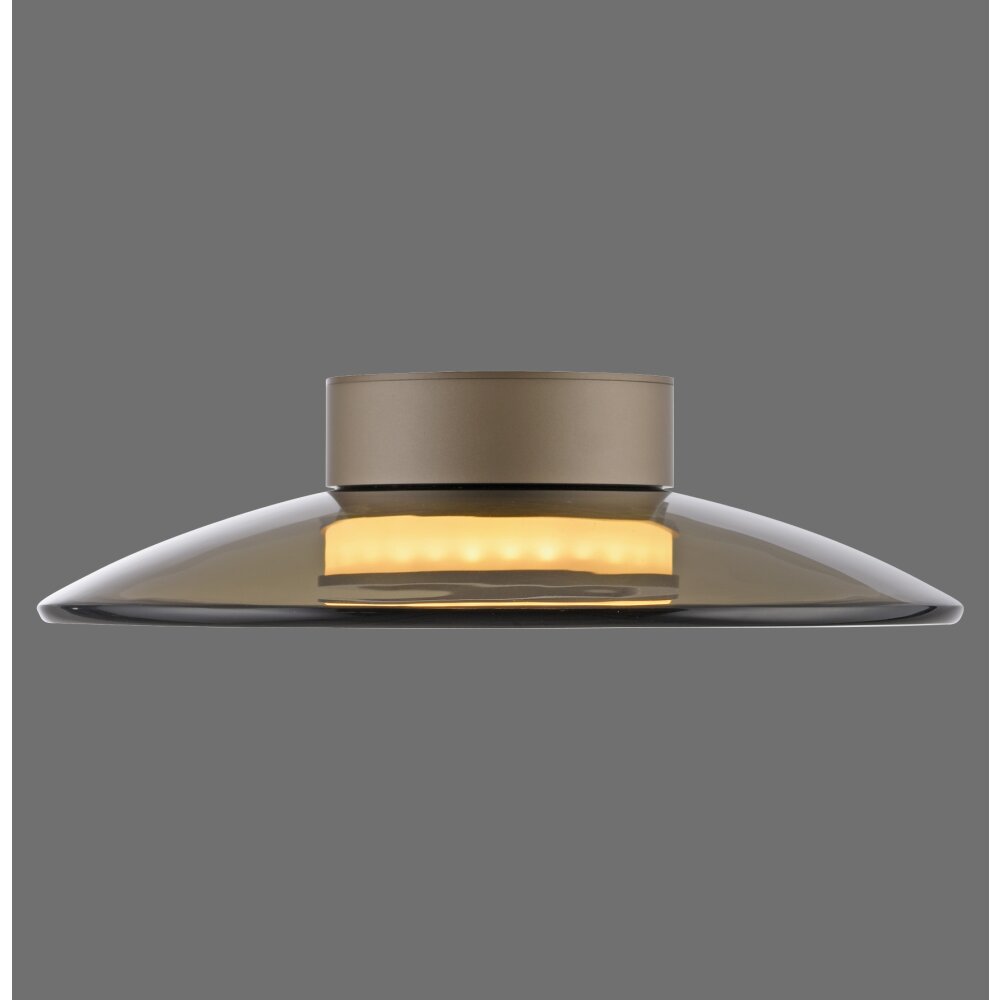 Moon Plafonnier Luminaires Paul Neuhaus LED Bronze, 2 lumières main product photo