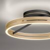 Loop Plafonnier Luminaires Paul Neuhaus LED Or, Noir, 2 lumières, Télécommandes