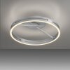 Loop Plafonnier Luminaires Paul Neuhaus LED Argenté, 2 lumières, Télécommandes