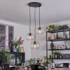 Apedo Suspension, Suspension, Suspension grappe Clair, 3 lumières