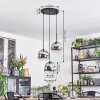 Ripoll Suspension, Boule lumineuse, Suspension grappe Clair, Fumé, 3 lumières