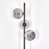 Ripoll Lampadaire Fumé, 3 lumières