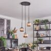 Ripoll Suspension, Boule lumineuse, Suspension grappe Chrome, Fumé, 3 lumières