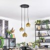 Ripoll Suspension, Boule lumineuse, Suspension grappe Or, Clair, 3 lumières