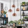 Ripoll Suspension, Boule lumineuse, Suspension grappe Clair, Cuivré, 4 lumières