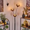 Ripoll Boule lumineuse, Lampadaire Clair, Cuivré, 3 lumières