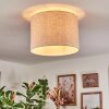 Bassagoda Plafonnier beige, Blanc, 1 lumière