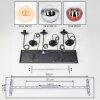 Gastor Suspension, Boule lumineuse, Suspension Ambre, Chrome, Clair, Cuivré, Fumé, 6 lumières