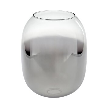 Abat-jour en verre  Apedo Verre de rechange, pièce de rechange Clair, Fumé
