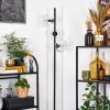 Ripoll Lampadaire Clair, 3 lumières