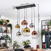 Gastor Suspension, Boule lumineuse, Suspension Chrome, Or, Clair, Cuivré, Fumé, 6 lumières