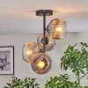 Ripoll Plafonnier, Boule lumineuse Clair, Fumé, 4 lumières