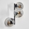 Gastor Boule lumineuse, Applique murale Fumé, 3 lumières