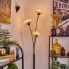 Koyoto Boule lumineuse, Lampadaire Ambre, Clair, 3 lumières