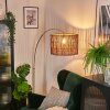 Cando Lampadaire Laiton, Noir, 1 lumière