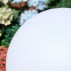 Ilara Boule lumineuse, Borne lumineuse, Eclairage de chemin LED Blanc, 1 lumière, Télécommandes