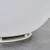 Ilorn Boule lumineuse, Borne lumineuse, Eclairage de chemin LED Blanc, 1 lumière, Télécommandes