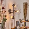Gastor Boule lumineuse, Applique murale Clair, 3 lumières