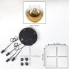 Ripoll Suspension, Boule lumineuse, Suspension grappe Or, Clair, 4 lumières