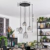 Ripoll Suspension, Boule lumineuse, Suspension grappe Clair, Fumé, 4 lumières