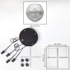 Ripoll Suspension, Boule lumineuse, Suspension grappe Clair, Fumé, 4 lumières