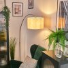 Bassagoda Lampadaire Nickel mat, Noir, 1 lumière