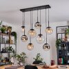Gastor Suspension, Boule lumineuse, Suspension Ambre, Chrome, Clair, Fumé, 8 lumières