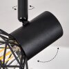 Plafonnier Palmira Noir, 2 lumières
