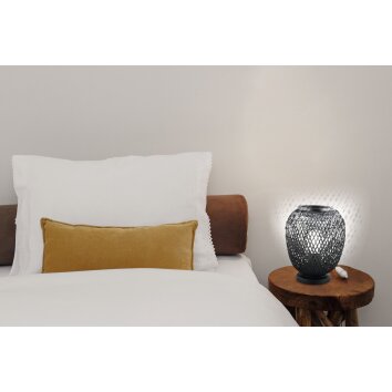 Lampe de table Eglo DEMBLEBY Noir, 1 lumière