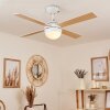 Ventilateur de plafond Hausvik Brun, Blanc, 1 lumière, Télécommandes