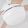 Ventilateur de plafond Hausvik Brun, Blanc, 1 lumière, Télécommandes
