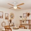 Ventilateur de plafond Hausvik Brun, Blanc, 1 lumière, Télécommandes