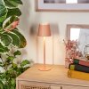Salgadinho Lampe de table d'extérieur, Lampe à poser LED Blanc, 1 lumière