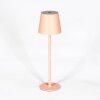 Salgadinho Lampe de table d'extérieur, Lampe à poser LED Blanc, 1 lumière