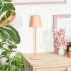 Salgadinho Lampe de table d'extérieur, Lampe à poser LED Blanc, 1 lumière
