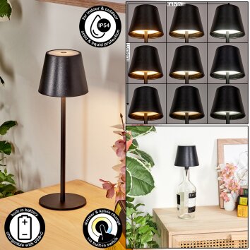 Salgadinho Lampe de table d'extérieur, Luminaire de salle de bain, Lampe à poser LED Noir, 1 lumière