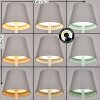Salgadinho Lampe de table d'extérieur, Lampe à poser LED Blanc, 1 lumière