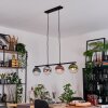 Gastor Suspension, Boule lumineuse, Suspension Bleu, Chrome, Vert, Clair, Cuivré, Fumé, 4 lumières