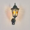 Hongkong Lampe murale d´extérieur, Applique murale Vert, Noir, 1 lumière, Détecteur de mouvement