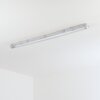 Ilena Luminaire extérieur, Luminaire de salle de bain, Plafonnier LED Gris, 1 lumière