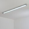 Ilena Plafonnier extérieur, Luminaire extérieur, Luminaire de salle de bain, Projecteur, Plafonnier LED Gris, 1 lumière