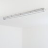Ilena Luminaire extérieur, Luminaire de salle de bain, Plafonnier LED Gris, 1 lumière