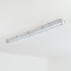 Ilena Plafonnier extérieur, Luminaire extérieur, Luminaire de salle de bain, Projecteur, Plafonnier LED Gris, 1 lumière