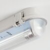 Ilena Plafonnier extérieur, Luminaire extérieur, Luminaire de salle de bain, Projecteur, Plafonnier LED Gris, 1 lumière