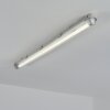 Ilena Plafonnier extérieur, Luminaire extérieur, Luminaire de salle de bain, Projecteur, Plafonnier LED Gris, 1 lumière