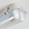 Ilena Luminaire extérieur, Luminaire de salle de bain, Plafonnier LED Gris, 1 lumière