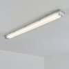 Ilena Plafonnier extérieur, Luminaire extérieur, Luminaire de salle de bain, Projecteur, Plafonnier LED Gris, 1 lumière